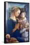 Madonna and Child with Angels, C1455-Filippino Lippi-Framed Stretched Canvas