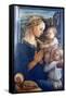 Madonna and Child with Angels, C1455-Filippino Lippi-Framed Stretched Canvas