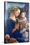 Madonna and Child with Angels, C1455-Filippino Lippi-Stretched Canvas