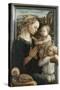 Madonna and Child with Angels-Filippo Lippi-Stretched Canvas