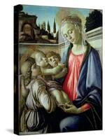 Madonna and Child with Angels-Sandro Botticelli-Stretched Canvas