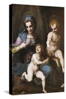 Madonna and Child with Infant Saint John the Baptist, 1516-1517-Andrea del Sarto-Stretched Canvas