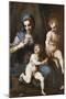 Madonna and Child with Infant Saint John the Baptist, 1516-1517-Andrea del Sarto-Mounted Giclee Print