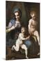 Madonna and Child with Infant Saint John the Baptist, 1516-1517-Andrea del Sarto-Mounted Giclee Print