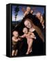Madonna and Child with John the Baptist, 1534-Lucas the Younger Cranach-Framed Stretched Canvas