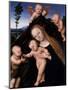 Madonna and Child with John the Baptist, 1534-Lucas the Younger Cranach-Mounted Giclee Print