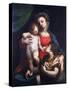 Madonna and Child with Mary Magdalene-Luca Cambiaso-Stretched Canvas