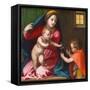 Madonna and Child with Saint John the Baptist, circa 1528 (Oil on Panel)-Andrea Del Sarto-Framed Stretched Canvas