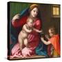 Madonna and Child with Saint John the Baptist, circa 1528 (Oil on Panel)-Andrea Del Sarto-Stretched Canvas