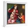 Madonna and Child with Saint John the Baptist, circa 1528 (Oil on Panel)-Andrea Del Sarto-Framed Giclee Print