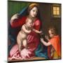 Madonna and Child with Saint John the Baptist, circa 1528 (Oil on Panel)-Andrea Del Sarto-Mounted Giclee Print