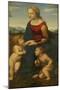 Madonna and Child with Saint John the Baptist (La Belle Jardinièr)-Raphael-Mounted Premium Giclee Print