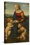 Madonna and Child with Saint John the Baptist (La Belle Jardinièr)-Raphael-Stretched Canvas