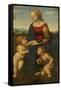 Madonna and Child with Saint John the Baptist (La Belle Jardinièr)-Raphael-Framed Stretched Canvas