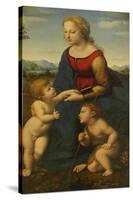 Madonna and Child with Saint John the Baptist (La Belle Jardinièr)-Raphael-Stretched Canvas