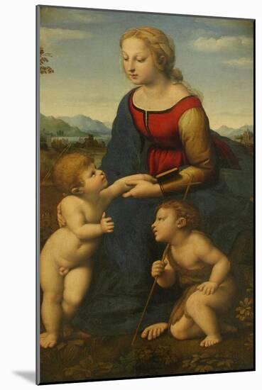 Madonna and Child with Saint John the Baptist (La Belle Jardinièr)-Raphael-Mounted Giclee Print