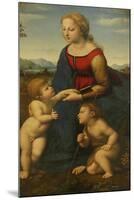 Madonna and Child with Saint John the Baptist (La Belle Jardinièr)-Raphael-Mounted Giclee Print