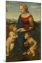 Madonna and Child with Saint John the Baptist (La Belle Jardinièr)-Raphael-Mounted Giclee Print