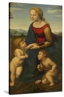 Madonna and Child with Saint John the Baptist (La Belle Jardinièr)-Raphael-Stretched Canvas