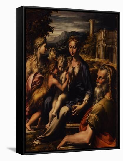 Madonna and Child with Saint (Madonna Di San Zaccari), C.1535-Parmigianino-Framed Stretched Canvas