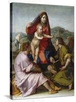 Madonna and Child with Saint Matthew and the Angel-Andrea del Sarto-Stretched Canvas