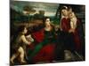 Madonna and Child with Saints Agnes and John the Baptist-Titian (Tiziano Vecelli)-Mounted Giclee Print