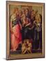 Madonna and Child with Saints, c.1518-Rosso Fiorentino (Battista di Jacopo)-Mounted Giclee Print