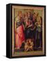 Madonna and Child with Saints, c.1518-Rosso Fiorentino (Battista di Jacopo)-Framed Stretched Canvas