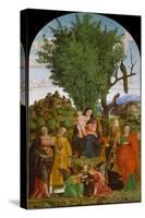 Madonna and Child with Saints, c.1520-Gerolamo dai Libri-Stretched Canvas