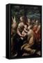 Madonna and Child with Saints, c.1529-Parmigianino-Framed Stretched Canvas