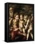 Madonna and Child with Saints, Ca. 1524-Parmigianino-Framed Stretched Canvas