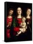 Madonna and Child with Saints Catherine of Alexandria and John the Baptist-Perugino-Framed Stretched Canvas