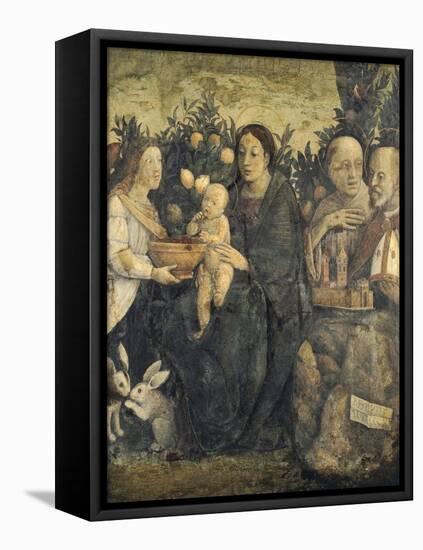 Madonna and Child with Saints Francis and Quirino, 1505-Antonio Allegri-Framed Stretched Canvas