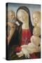 Madonna and Child with Saints Jerome and Mary Magdalene,-Neroccio Di Landi-Stretched Canvas