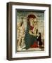 Madonna and Child with Saints, Painting-null-Framed Giclee Print