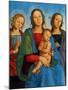 Madonna and Child with Saints-Pietro Perugino-Mounted Collectable Print