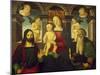 Madonna and Child with Saints-Giuliano Presutti-Mounted Giclee Print