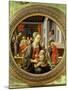 Madonna and Child with Scenes from the Life of the Virgin, 1452-Fra Filippo Lippi-Mounted Giclee Print