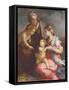 Madonna and Child with St. Elizabeth and the Infant St. John the Baptist (Panel)-Andrea del Sarto-Framed Stretched Canvas
