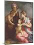 Madonna and Child with St. Elizabeth and the Infant St. John the Baptist (Panel)-Andrea del Sarto-Mounted Giclee Print