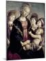 Madonna and Child with St. John Baptist and Two Angels, c.1468-Sandro Botticelli-Mounted Giclee Print