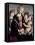 Madonna and Child with St. John Baptist and Two Angels, c.1468-Sandro Botticelli-Framed Stretched Canvas