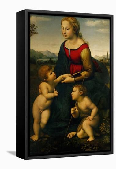 Madonna and Child with St. John the Baptist, 1507-Raphael-Framed Stretched Canvas