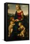 Madonna and Child with St. John the Baptist, 1507-Raphael-Framed Stretched Canvas