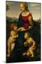 Madonna and Child with St. John the Baptist, 1507-Raphael-Mounted Giclee Print