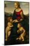 Madonna and Child with St. John the Baptist, 1507-Raphael-Mounted Giclee Print
