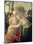Madonna and Child with St. John the Baptist, Detail of the Madonna and Child-Sandro Botticelli-Mounted Giclee Print
