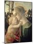 Madonna and Child with St. John the Baptist, Detail of the Madonna and Child-Sandro Botticelli-Mounted Giclee Print