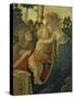 Madonna and Child with St. John the Baptist-Sandro Botticelli-Stretched Canvas