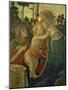 Madonna and Child with St. John the Baptist-Sandro Botticelli-Mounted Giclee Print